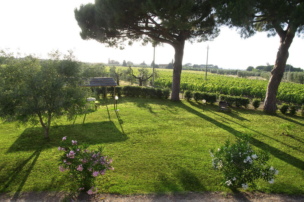 Agriturismo Quattro Pini Castagneto Carducci Szoba fotó