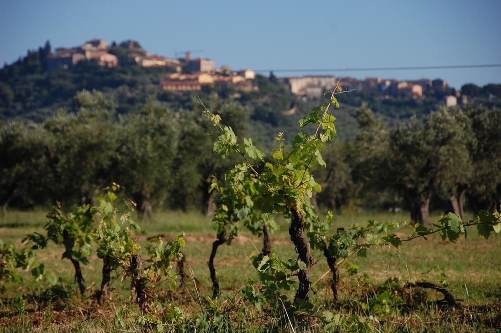 Agriturismo Quattro Pini Castagneto Carducci Kültér fotó