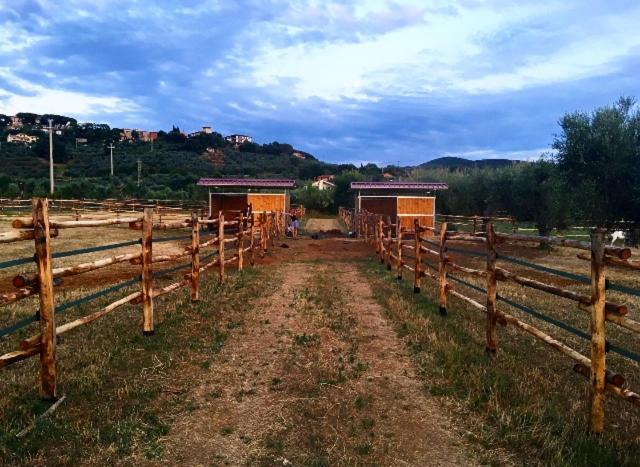 Agriturismo Quattro Pini Castagneto Carducci Kültér fotó